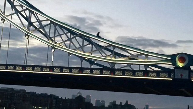 英患病男子伦敦塔桥高空“散步”