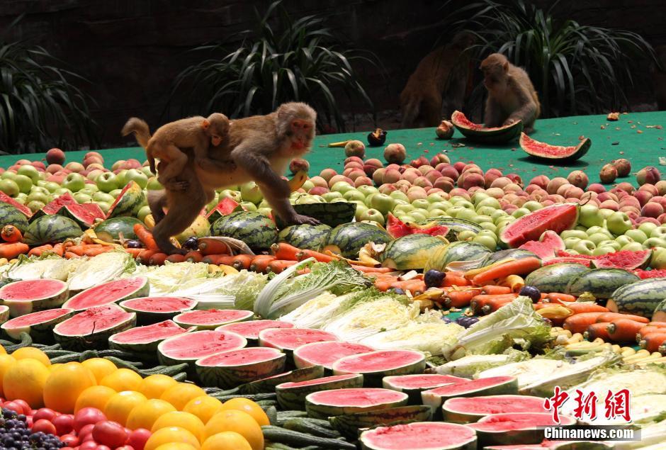 8000余斤超级水果拼盘宴请“美猴王”