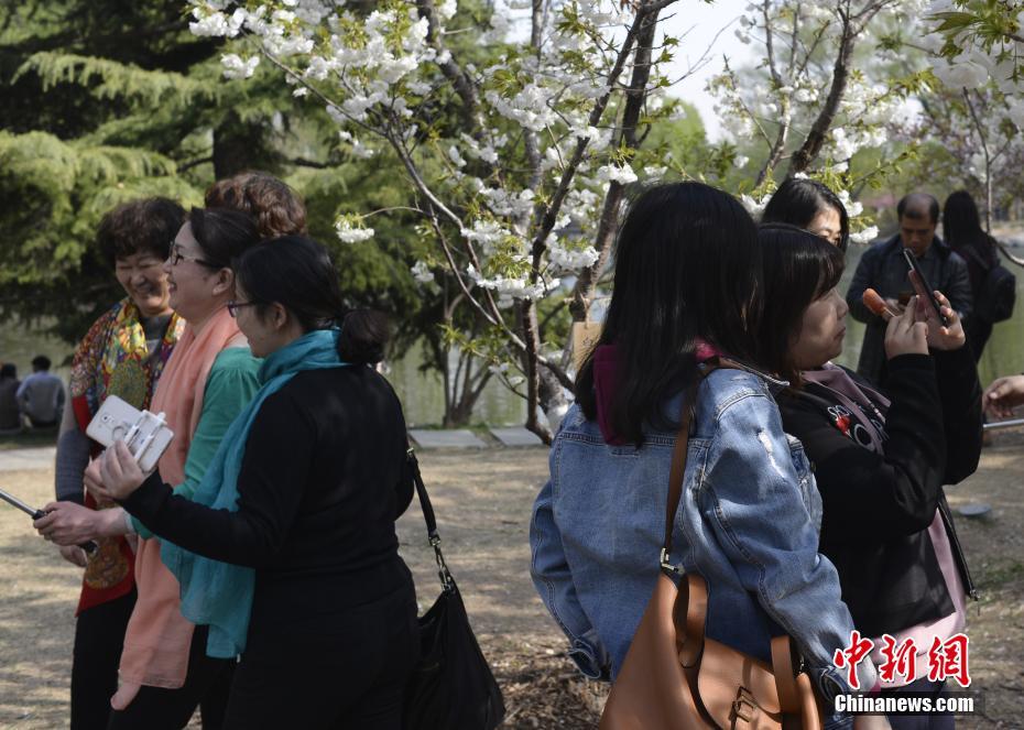 北京玉渊潭公园春和景明游人众多
