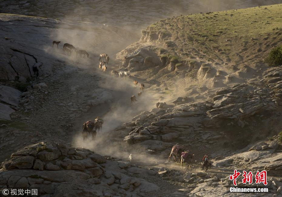 实拍新疆哈萨克族牧民夏季“生命大迁徙”