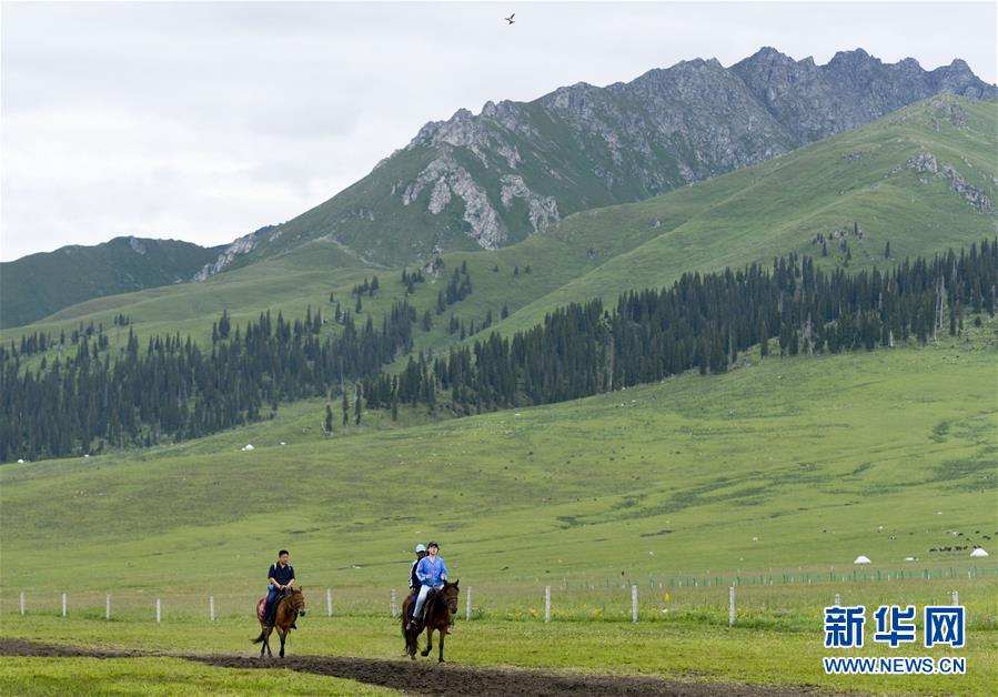 新疆：马背上的“生态致富路”