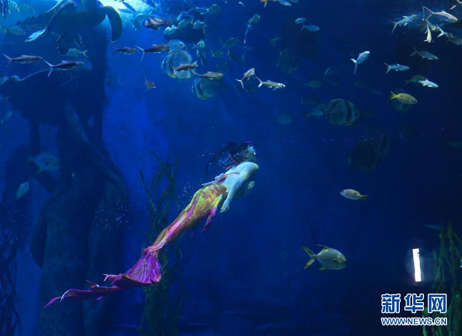 梦幻“美人鱼” 海底享清凉
