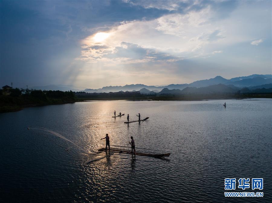 千岛湖开渔展现“水清鱼欢”美丽生态