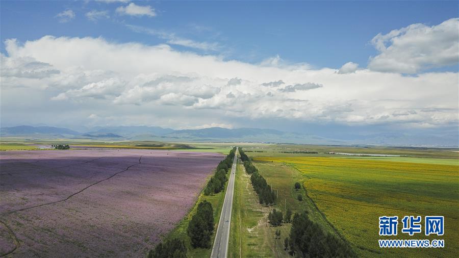 新疆：远方的路