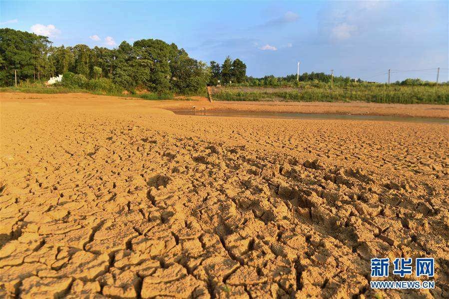 湖南2.5万人因旱遭遇饮水难 201万亩农作物受旱