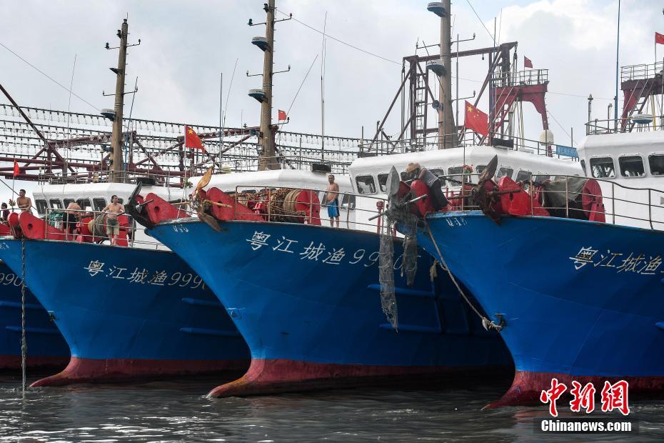南海伏季休渔期结束 广东渔船雨中竞发