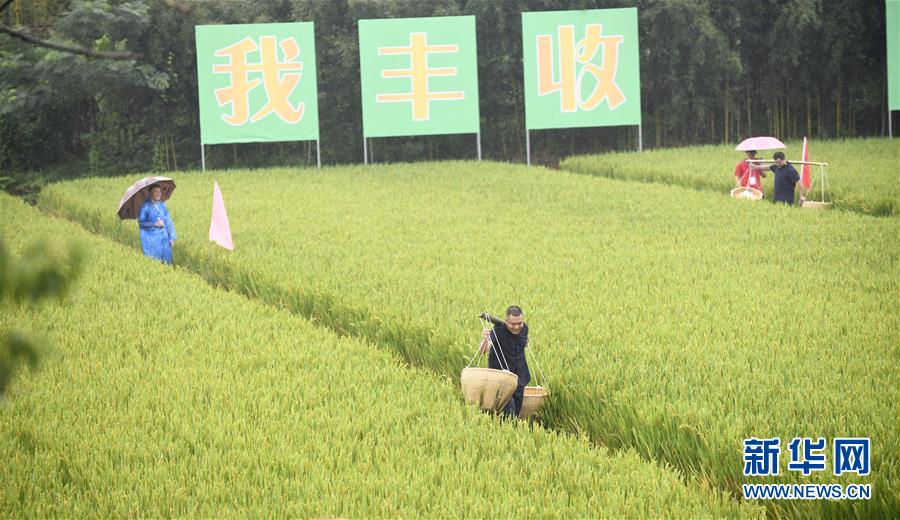 浙江德清举行活动迎接首届“中国农民丰收节”