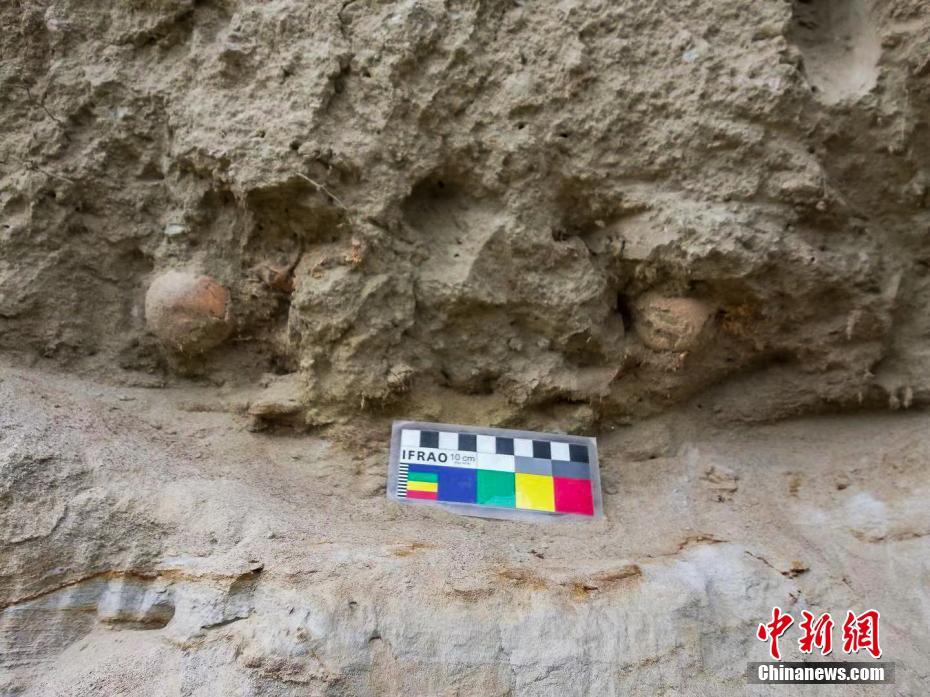 西藏藏东南新发现早期人类活动遗迹